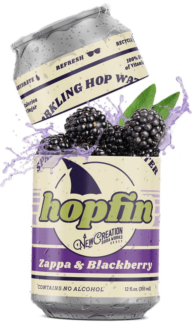 Hopfin Sparkling Hopwater 4pk (Zappa Hops + Blackberry)